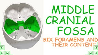 ANATOMY OF MIDDLE CRANIAL FOSSA ALL FORAMEN WITH CONTENTS [upl. by Battat456]