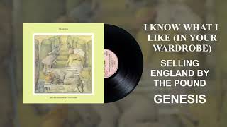 Genesis  I Know What I Like In Your Wardrobe Official Audio [upl. by Senilec]