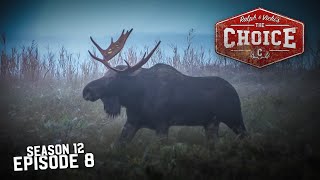 Ontario Moose Hunting On A Budget  The Choice Full Episode  S12 Episode 8 [upl. by Afaw332]