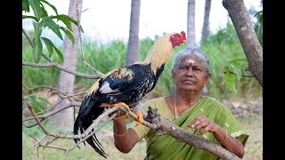 Indian Rooster Fry  Greatest Fried Rooster [upl. by Michal]