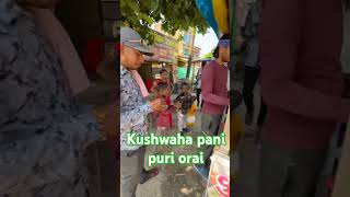 Kushwahaindianstreetfood pani puri baghaura by pass orai [upl. by Einniw]