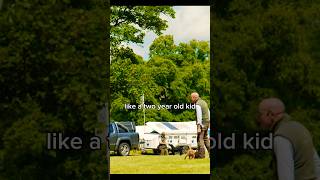 Puppies at the Fair dogs labrador gundogs dogtraining [upl. by Auoz716]