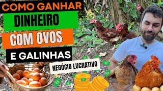 COMO GANHAR DINHEIRO COM OVOS E GALINHAS NEGÓCIO MUITO LUCRATIVO QUE CRESCE CADA DIA MAIS [upl. by Anitnamaid]