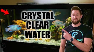 Crystal Clear Aquarium Water  Tips for Fixing a Cloudy Tank [upl. by Renba200]