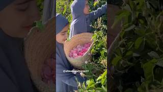 VIRAL  PESONA KECANTIKAN GADIS ARAB BADUY [upl. by Azmuh]