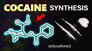 Epic First Cocaine Synthesis in 25 Steps Educational [upl. by Netti788]