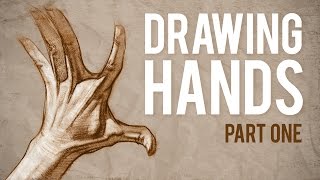 How to Draw HANDS  Muscle Anatomy of the Hand [upl. by Korella]