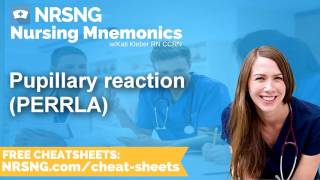 Pupillary reaction PERRLA Nursing Mnemonics Nursing School Study Tips [upl. by Femi]