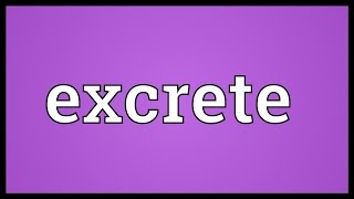 Excrete Meaning [upl. by Bradly]