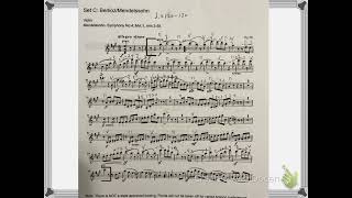 Violin Mendelssohn State Excerpt [upl. by Westerfield659]