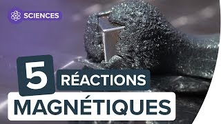 Magnétisme 5 réactions étonnantes avec des aimants  Futura [upl. by Coe]