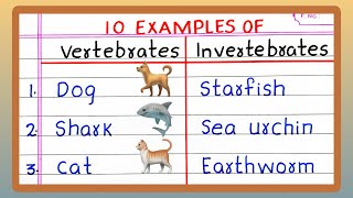 Name  Examples of VERTEBRATES AND INVERTEBRATES  5  10 List of VERTEBRATES AND INVERTEBRATES [upl. by Kiele]