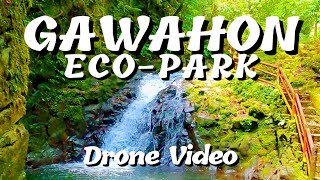 GAWAHON ECO PARK DRONE VIDEO  VICTORIAS CITY NEGROS OCC PHILIPPINES [upl. by Sekyere]