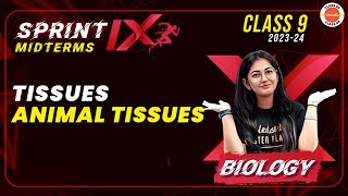 Sprint IX  Animal Tissues Most Important Questions  Tissues Class 9CBSE Class 9 Science Biology [upl. by Bonnell]