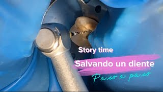 Story time Reconstrucción de un Diente con Caries dental profunda Endodoncia pasó a paso [upl. by Wildee]