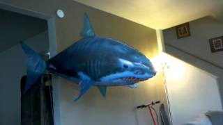 Remote control shark balloon [upl. by Omor]