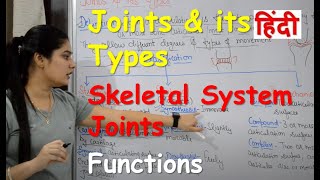 Types of Joint in Hindi  Human body  Skeletal System Joints  Structure  Functrions [upl. by Vivian]