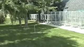 Dog Kennel Designing and Building a with a Concrete Floor [upl. by Pisano699]