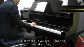 Rio ReiserMartin Hartmann Junimond KlavierInstrumental mit Text [upl. by Aohsoj]