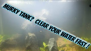 How to a Clean Cloudy Aquarium After Aquascaping ampHow to Stop Floating Plants From Sinking or Moving [upl. by Nostrebor]