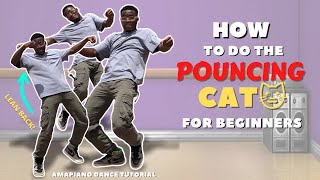 LEARN HOW TO DO THE POUNCING CAT AFRO DANCE AMAPIONO MOVE [upl. by Jan206]