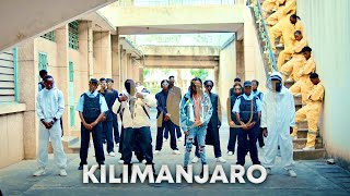 Dogo Janja amp Loui  Kilimanjaro Official Music Video [upl. by Knobloch]