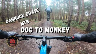 Cannock Chase Mtb Follow the Dog to the Monkey [upl. by Biddie744]