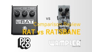 Wampler Ratsbane VS ProCo RAT  Comparison Review [upl. by Tace508]