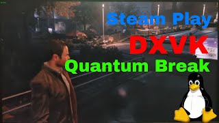 Steam Play DXVK Running Quantum Break  Revisiting DXVK [upl. by Takashi]