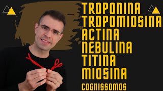 🙋‍♂️✊Actina Miosina Tropomiosina Troponina Titina [upl. by Acnaiv672]