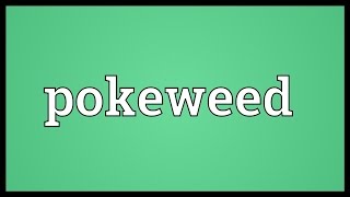 Pokeweed Meaning [upl. by Doble]