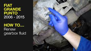 How to renew gear box fluid on the Fiat Grande Punto 2006 to 2015 [upl. by Ardelle]