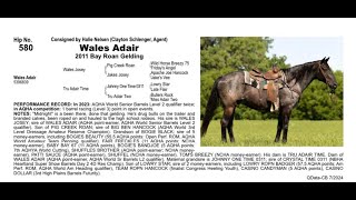 Pitzer Ranch Fall Sale 2024 Lot 580 WALES ADAIR [upl. by Kevin]