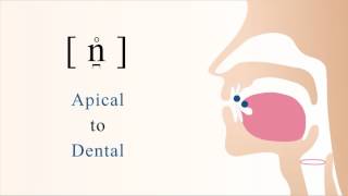 n̪̊  unvoiced apical dental nasal stop [upl. by Jeri]