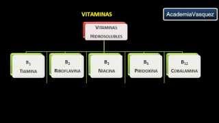 Vitaminas Historia Estructura y Clasificación [upl. by Lussi]