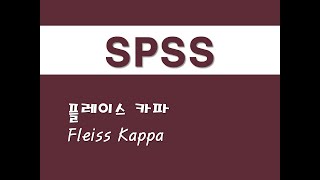 SPSS를 활용한 고급통계  28 플레이스 카파Fleiss Kappa [upl. by Aimekahs]