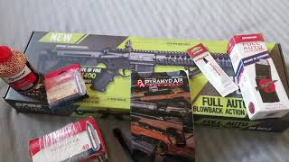 Crosman DPMS SBR Full Auto BB Rifle Pt 1 The Unboxening [upl. by Eolanda132]