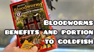 Bloodworms benefits and portion for goldfish [upl. by Poyssick]