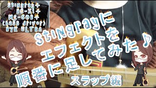 【ベース】stingrayにエフェクトを順番に足してみた スラップ編 [upl. by Virgina]