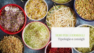 Semi per i germogli tipologie e consigli [upl. by Shewmaker]