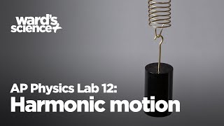 AP Physics Lab 12 Harmonic Motion in a Spring [upl. by Aerdnod]