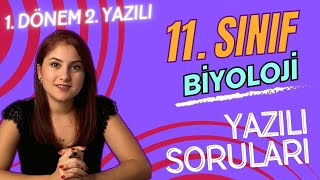 11 SINIF BİYOLOJİ 1 DÖNEM 2 YAZILIYA HAZIRLIK  PDF 2023 2024 [upl. by Ineslta879]