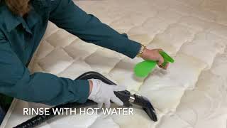 How to remove a mattress stain with Ritello R2 mini shampooer attachment [upl. by Geibel]