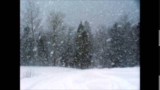 Chasse Neige  Franz Liszt  Orchestral [upl. by Damalus]