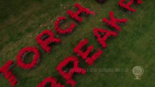 Prospekts MarchPoppyfields  Coldplay  Sub Español [upl. by Gennifer199]