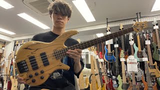 Overwater Basses  Progress Standard 4 Spalted Beech  Natural Satin 【Test Play】 [upl. by Anaylil667]