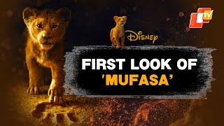 Mufasa  The Lion King Trailer Disney Drops First Look Of Prequel Story [upl. by Deroo261]