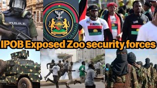 Bursted ‼️ipob revealed where zoo security forces kept innocent BIAFRA [upl. by Onitsirc356]