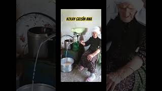 Kolay Gelsin Ana ozanlar öneçıkar süt inekler inek keşfet shorts hayvan film izle ytviral [upl. by Sacram]