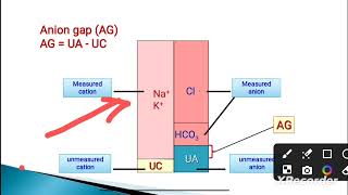 Anion Gap in Bangla [upl. by Luamaj]